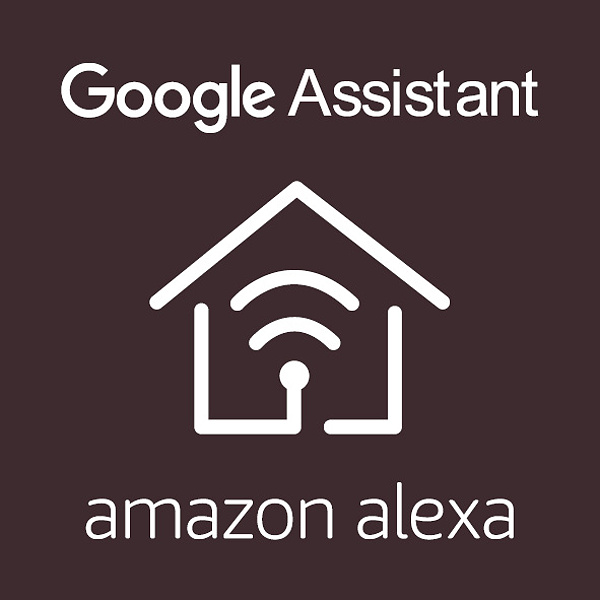Sprachassistenten Google Home und Alexa