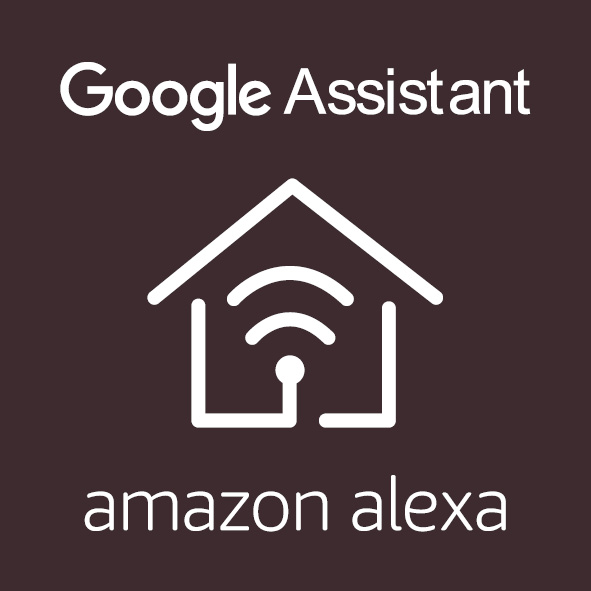 Google Home und Alexa Assistenten